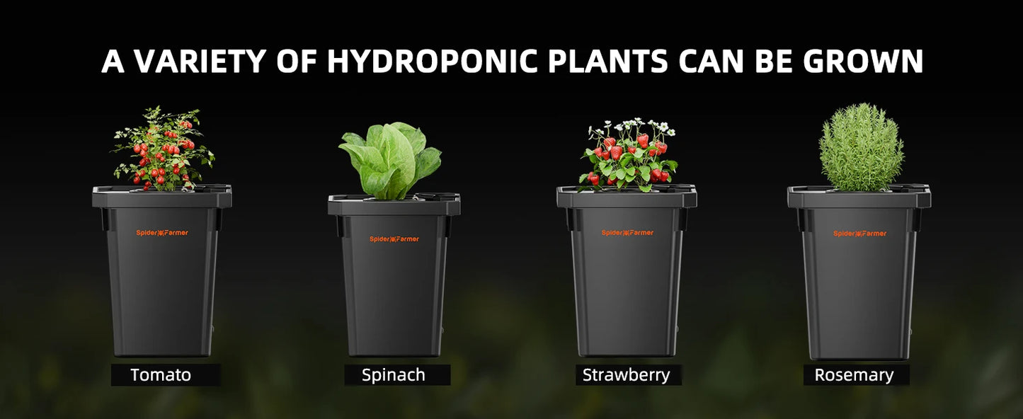 Spider Farmer DWC Hydroponic System 7 Gallon Deep Water Culture with 2 Buckets