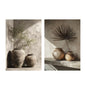 2pcs/set Neutral Olive Tree Shadow Vase Canvas Print Poster Botanical Landscape Art Print Home Decor