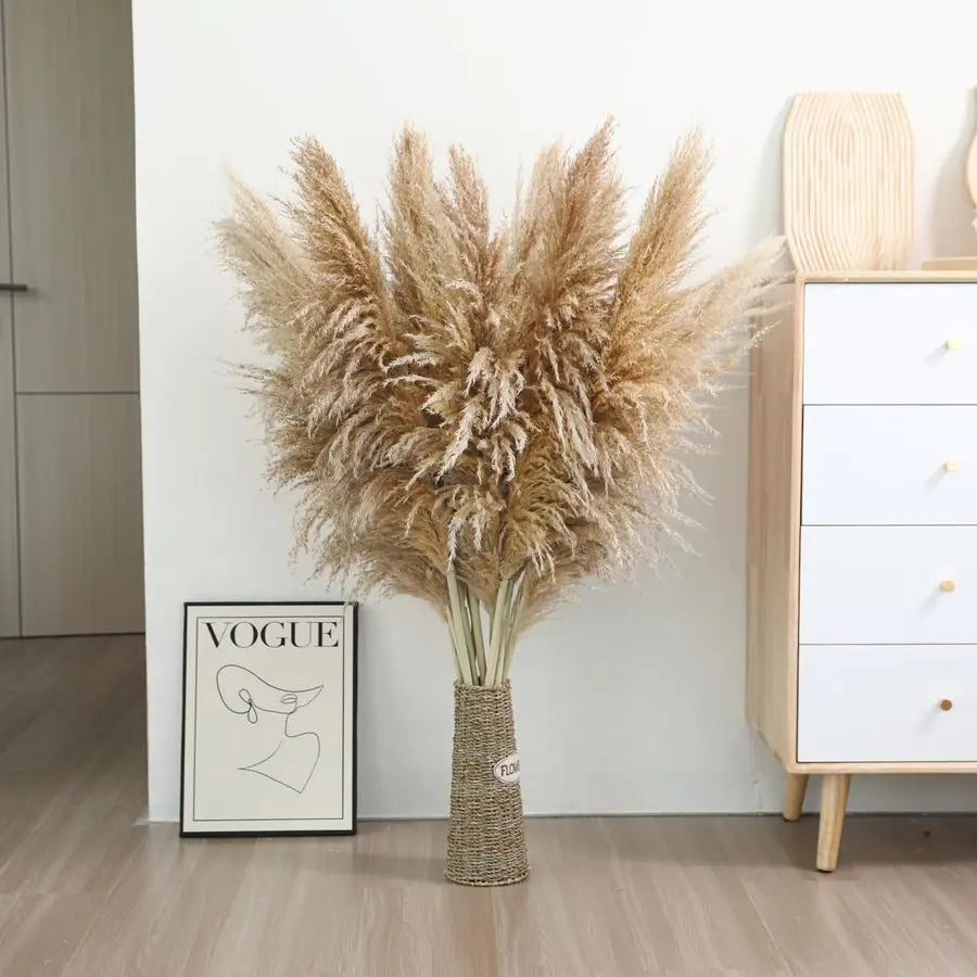 Stems 46 inch Tall Pampas Grass Decor Large Fluffy Dried Pampas Grass