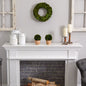14" Preserved Real Boxwood Wreath Home Door Decor.