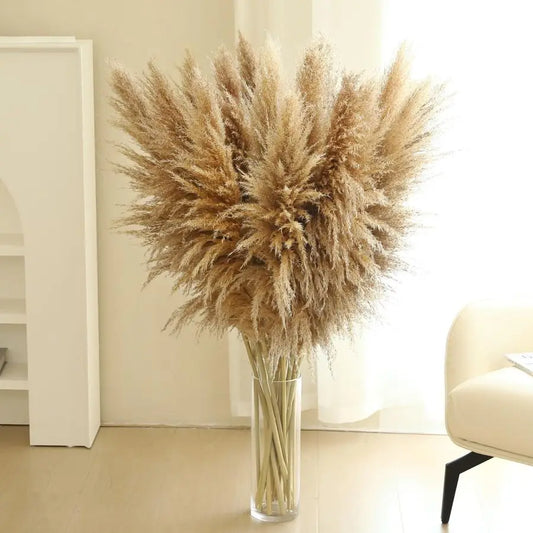 Stems 46 inch Tall Pampas Grass Decor Large Fluffy Dried Pampas Grass