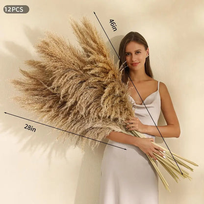 Stems 46 inch Tall Pampas Grass Decor Large Fluffy Dried Pampas Grass