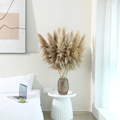 Stems 46 inch Tall Pampas Grass Decor Large Fluffy Dried Pampas Grass
