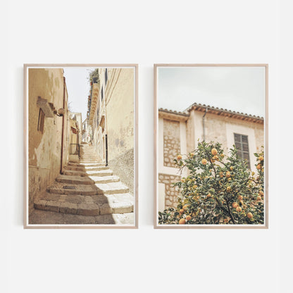 2pcs/set Neutral Olive Tree Shadow Vase Canvas Print Poster Botanical Landscape Art Print Home Decor