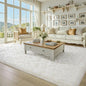 Fluffy Rugs for Living Room 5x8 Cream White, Washable Large Area Rugs