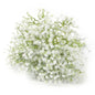 5/10/20Pcs Artificial Eucalyptus Leaf Stems Green Plants For Decoration