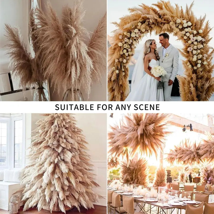 Stems 46 inch Tall Pampas Grass Decor Large Fluffy Dried Pampas Grass